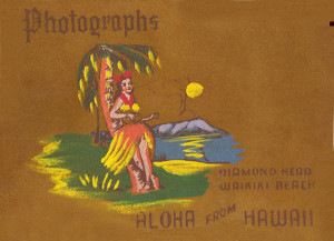 Hawaii Photos Cover (brown)